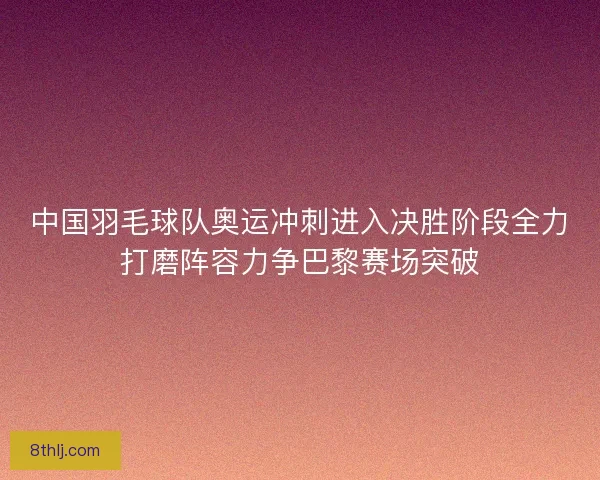中国羽毛球队奥运冲刺进入决胜阶段全力打磨阵容力争巴黎赛场突破